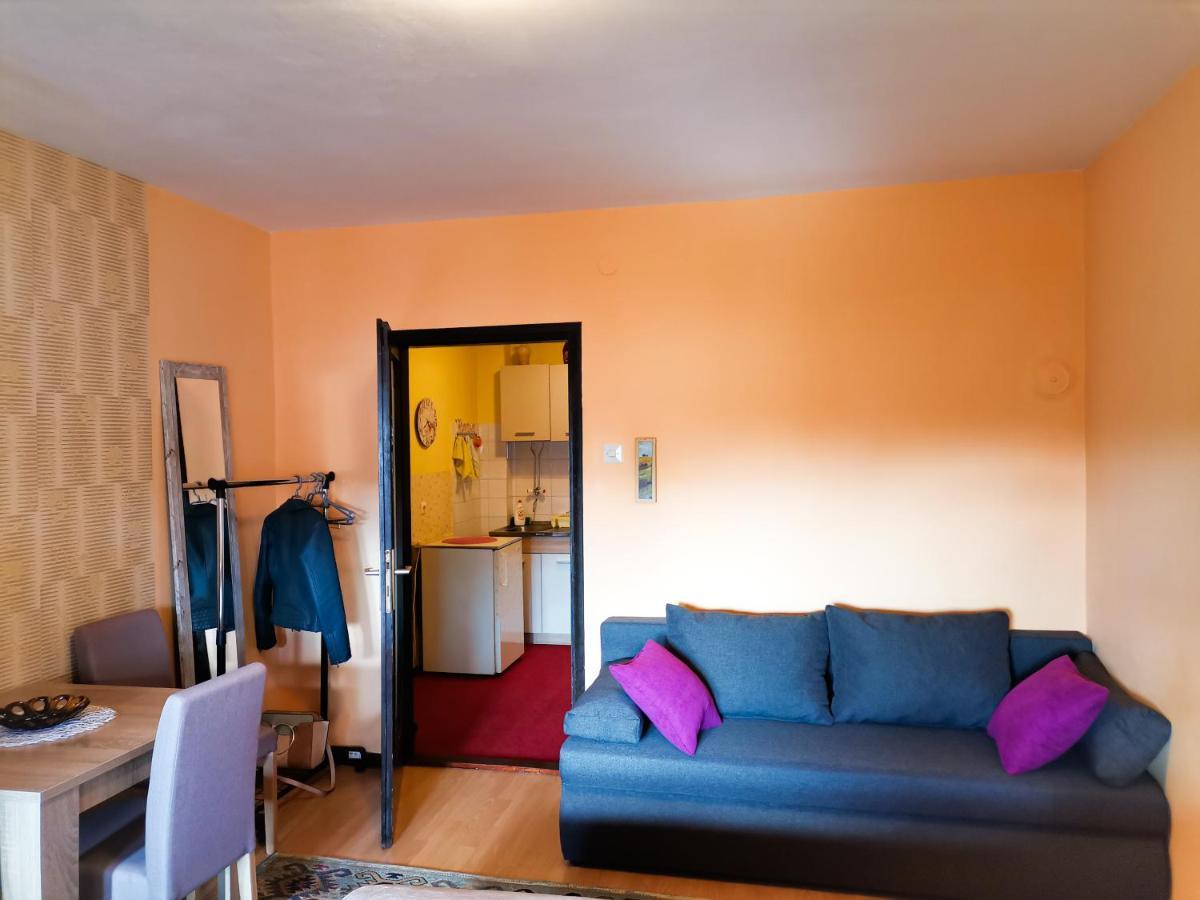 Apartment Andjela Zlatibor Exteriér fotografie
