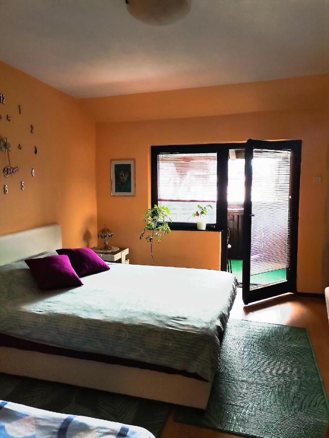 Apartment Andjela Zlatibor Exteriér fotografie
