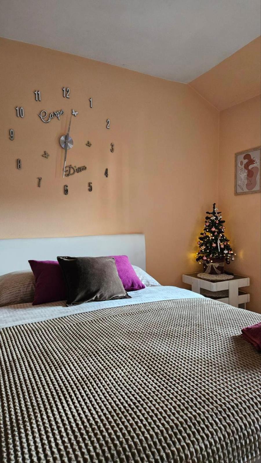 Apartment Andjela Zlatibor Exteriér fotografie