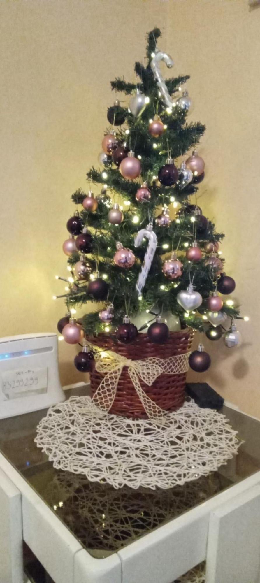 Apartment Andjela Zlatibor Pokoj fotografie